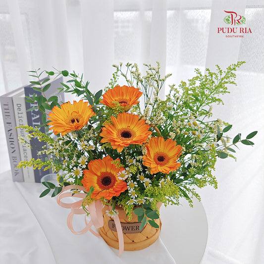 Gerbera Basket Arrangement