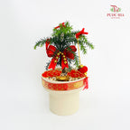 CNY Potted Plant Arrangement 2025#34