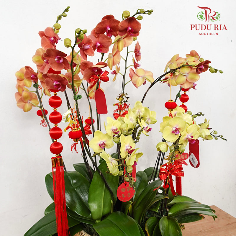 CNY Potted Plant Arrangement 2024#74