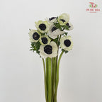 Anemone Hupehensis White 银莲花 - (Per Bundle)