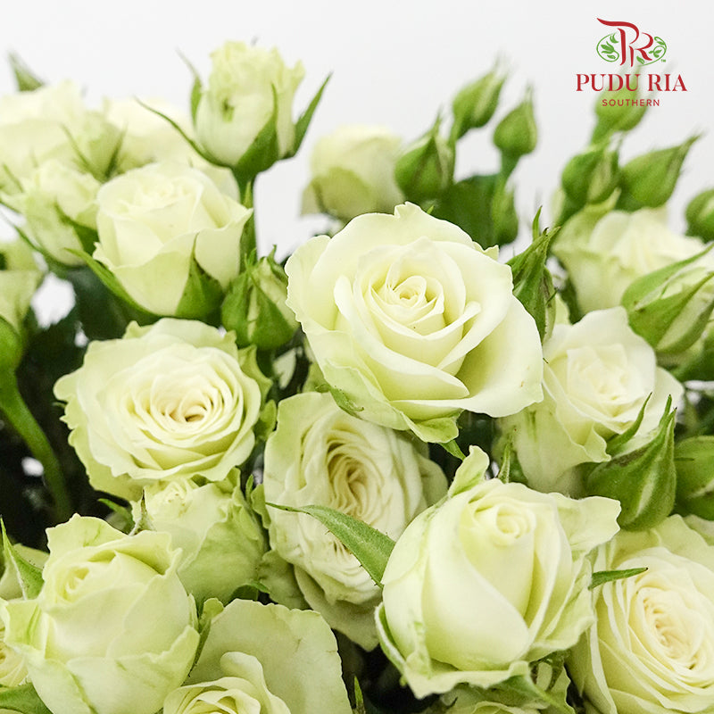 Rose Spray Starry (8-10 Stems) - Pudu Ria Florist Southern