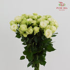 Rose Spray Jiang - (8-10 Stems)