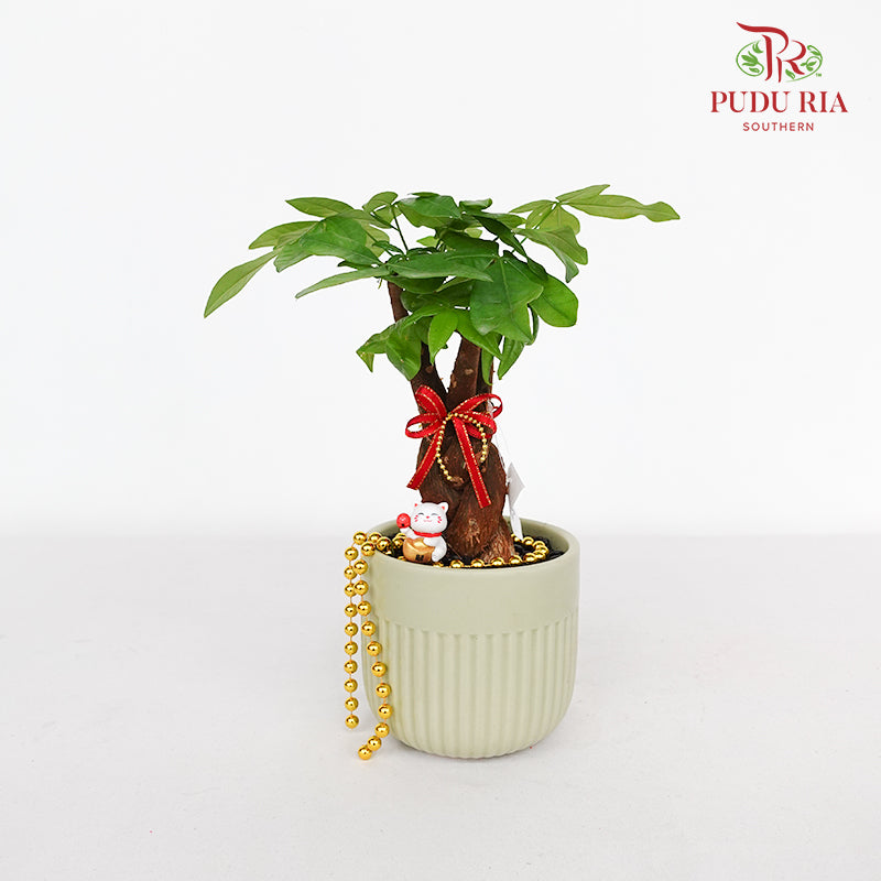 CNY Potted Plant Arrangement 2024#49