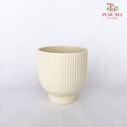 TY-8815 Pot