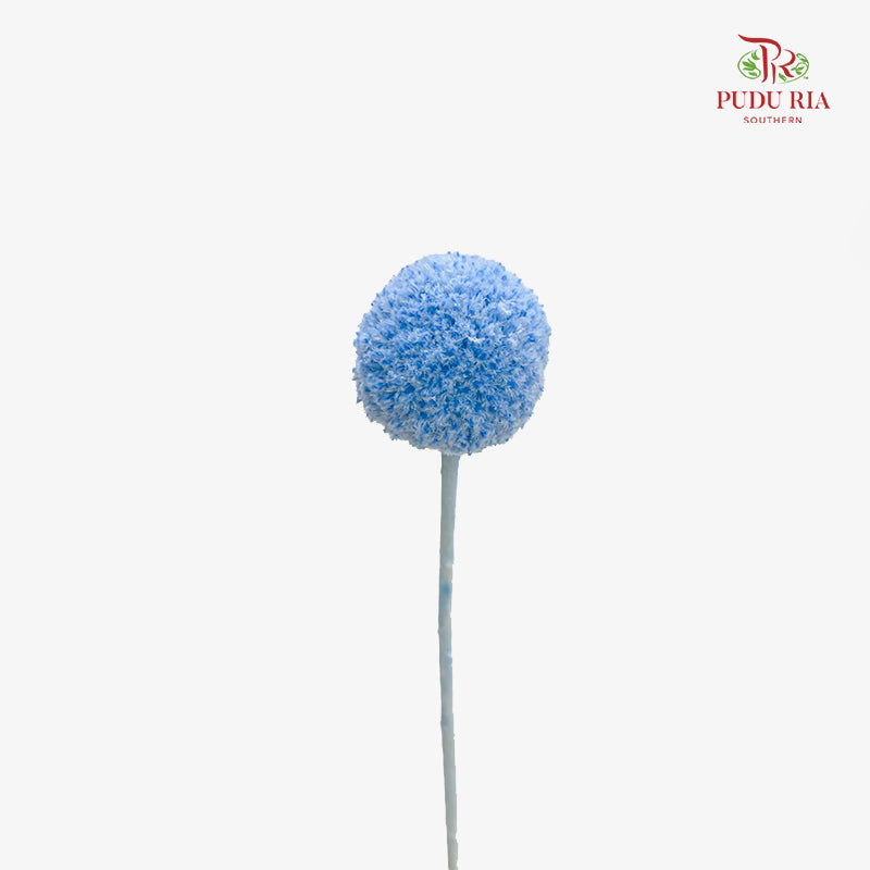 Preservative Craspedia - Blue