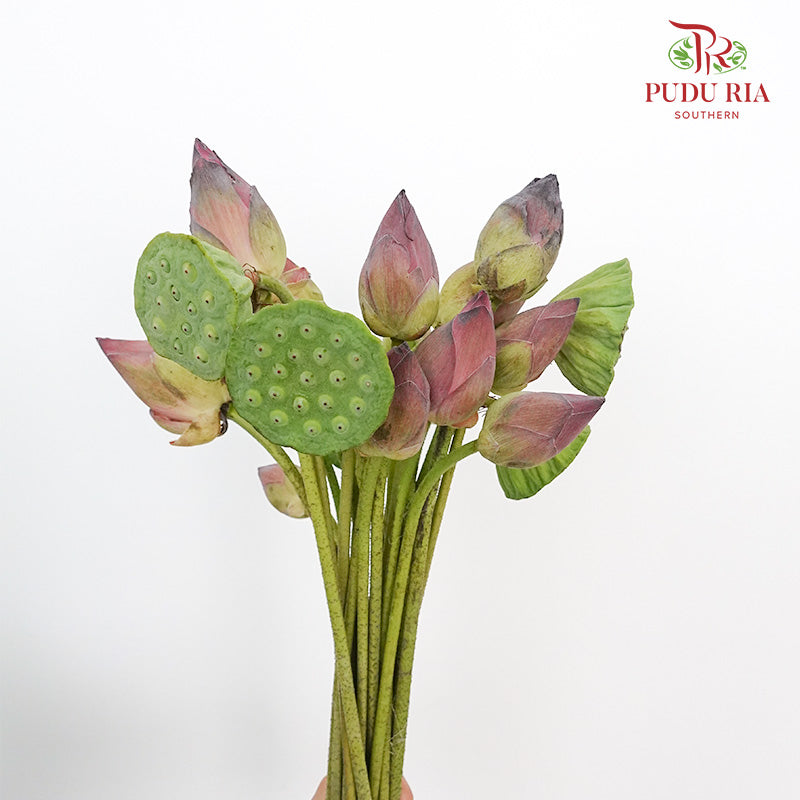 Lotus - Pudu Ria Florist Southern