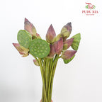 Lotus - Pudu Ria Florist Southern