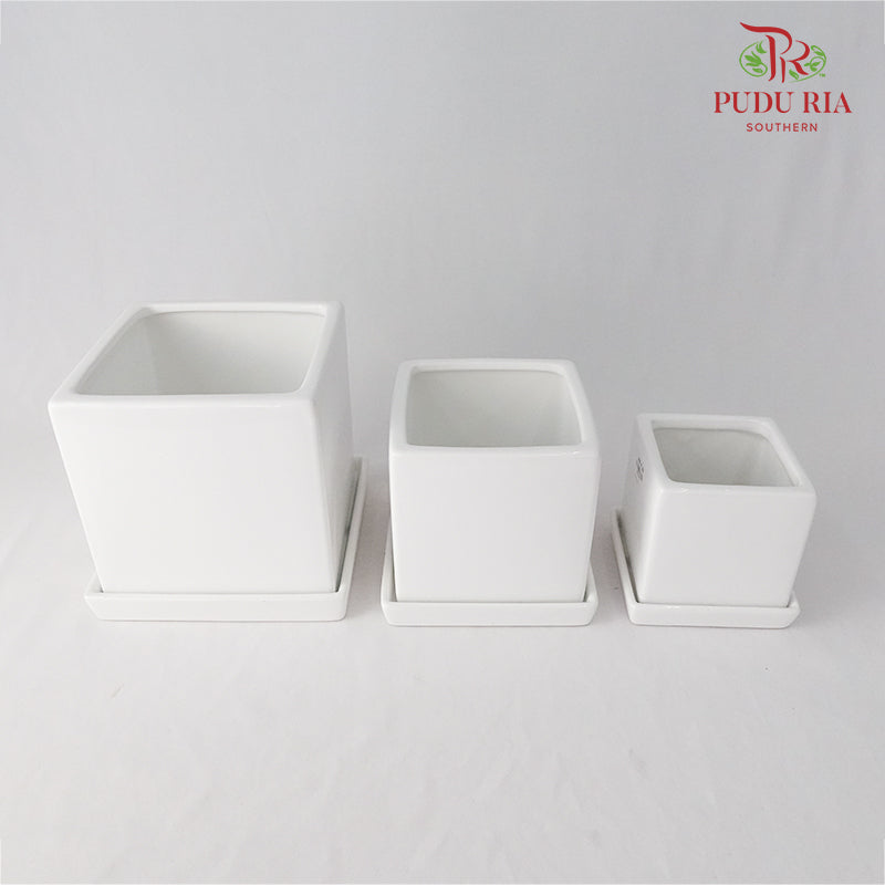 Asst Pot - White
