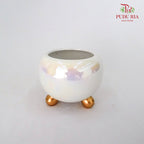Asst Pot White - M - Pudu Ria Florist Southern