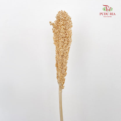 Dry Sorghum - Natural