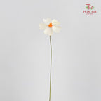 Dry Violet Love Shape - Center Orange