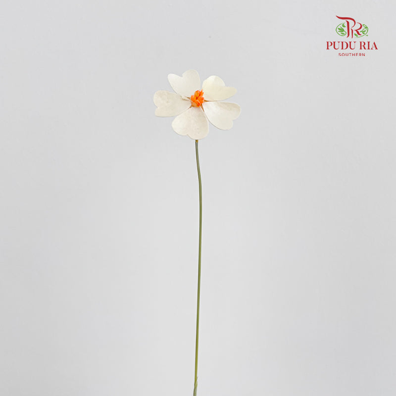 Dry Violet Love Shape - Center Orange