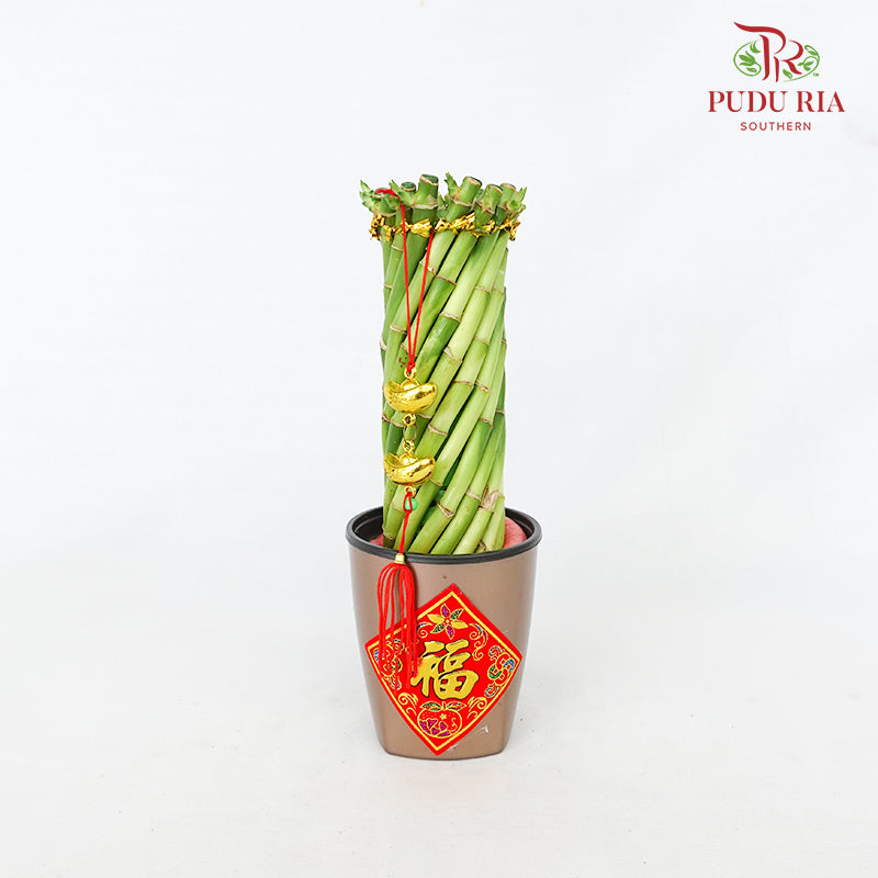 CNY Arrangement 2024#11