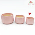 XR-886-H Pot Light Pink