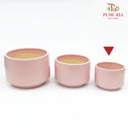 XR-886-H Pot Light Pink