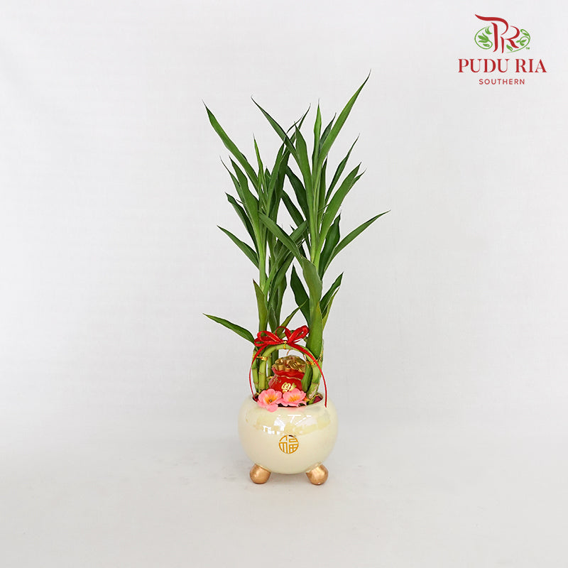 CNY Potted Plant Arrangement 2024#13