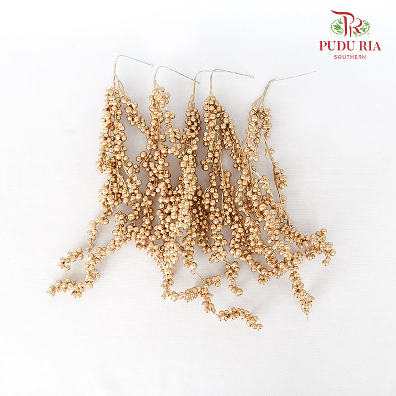 5' U Clump Ilex 35-40cm Gold