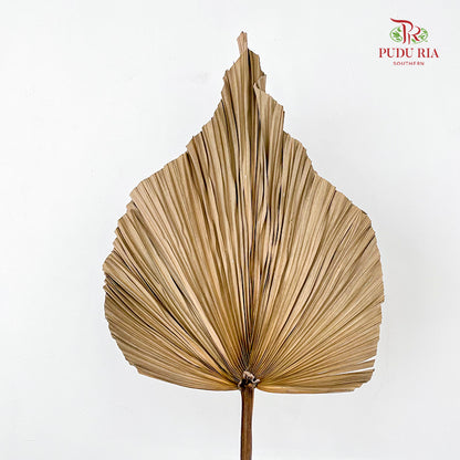 Robusta XL - (Per Stem)