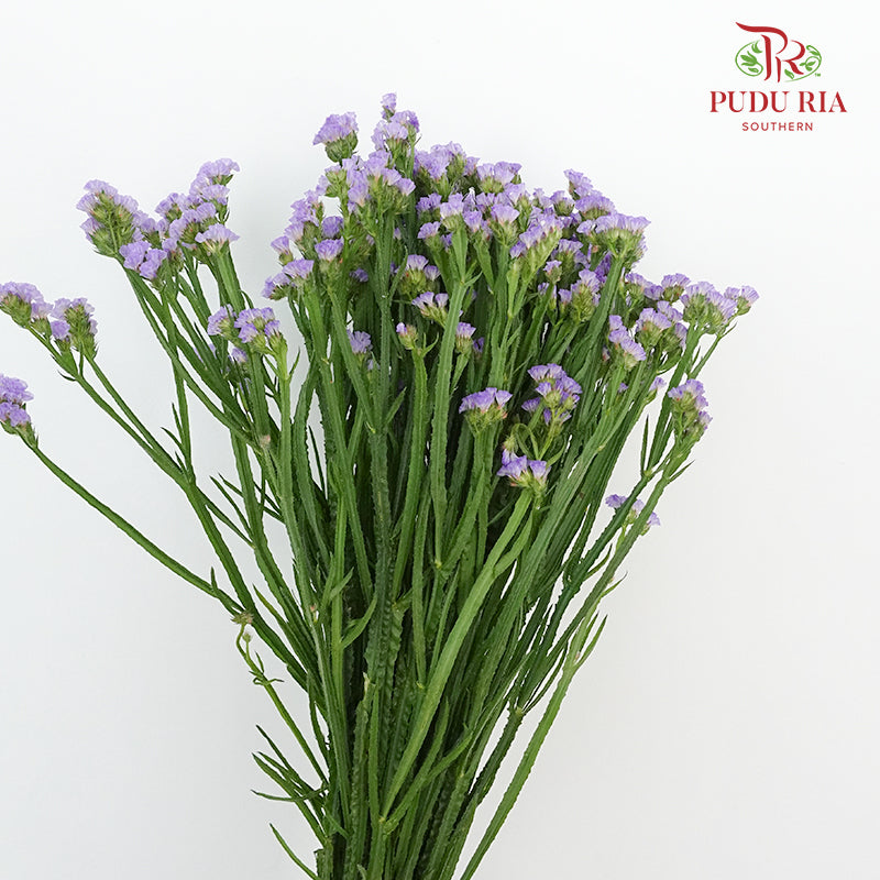 Statice Light Purple - Pudu Ria Florist Southern
