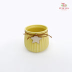 TY-8885 Asst Pot