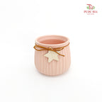 TY-8885 Asst Pot