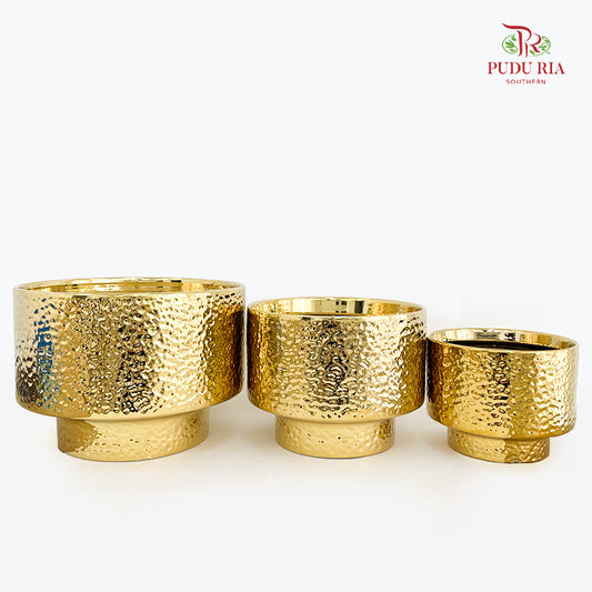 TX-WD10233C Gold Pot