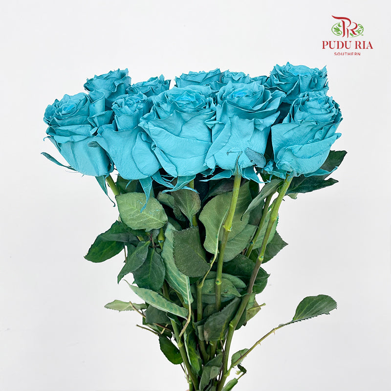 Rose Mondial Dyed Turqueza - (8-10 Stems)