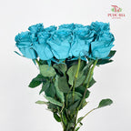 Rose Mondial Dyed Turqueza - (8-10 Stems)