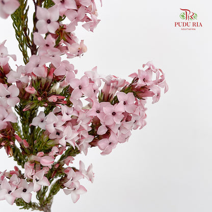 Erica Light Pink - (Per Bundle)