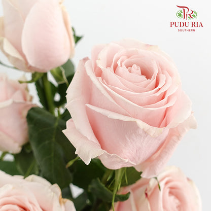 Rose Madonna - (15 Stems)