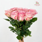 Rose Joyce - (8 Stems)