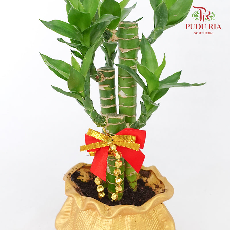 CNY Potted Plant Arrangement 2024#3