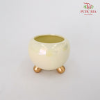 Asst Pot Cream - M - Pudu Ria Florist Southern