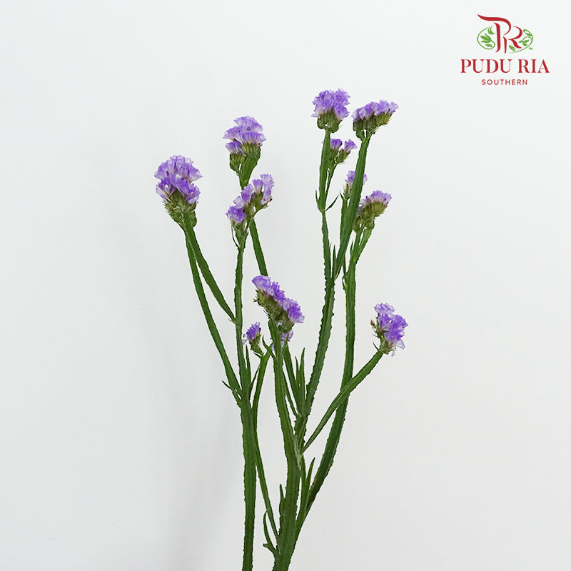 Statice Light Purple - Pudu Ria Florist Southern