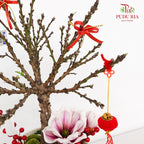 CNY Potted Plant Arrangement 2024#82