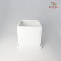 Asst Pot - White