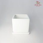 Asst Pot - White