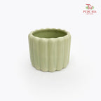 TY-8829 Pot