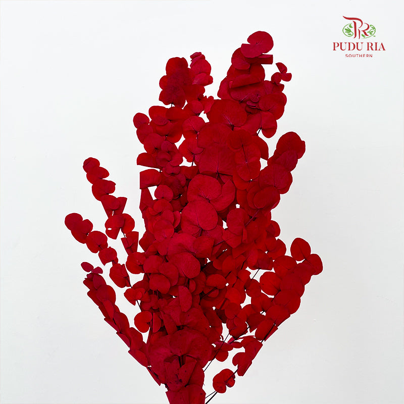 Preservative Eucalyptus - Red