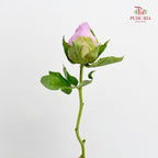 Peony Soft Purple - (5 Stems)