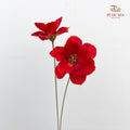 Dry New Wax Flower - Red