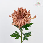 Chrysanthemum Vienna - (5 Stems)