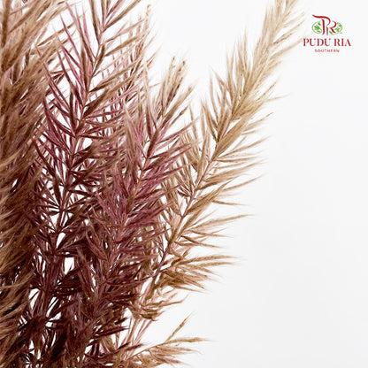 Phragmites Australis - (Per Bundle)