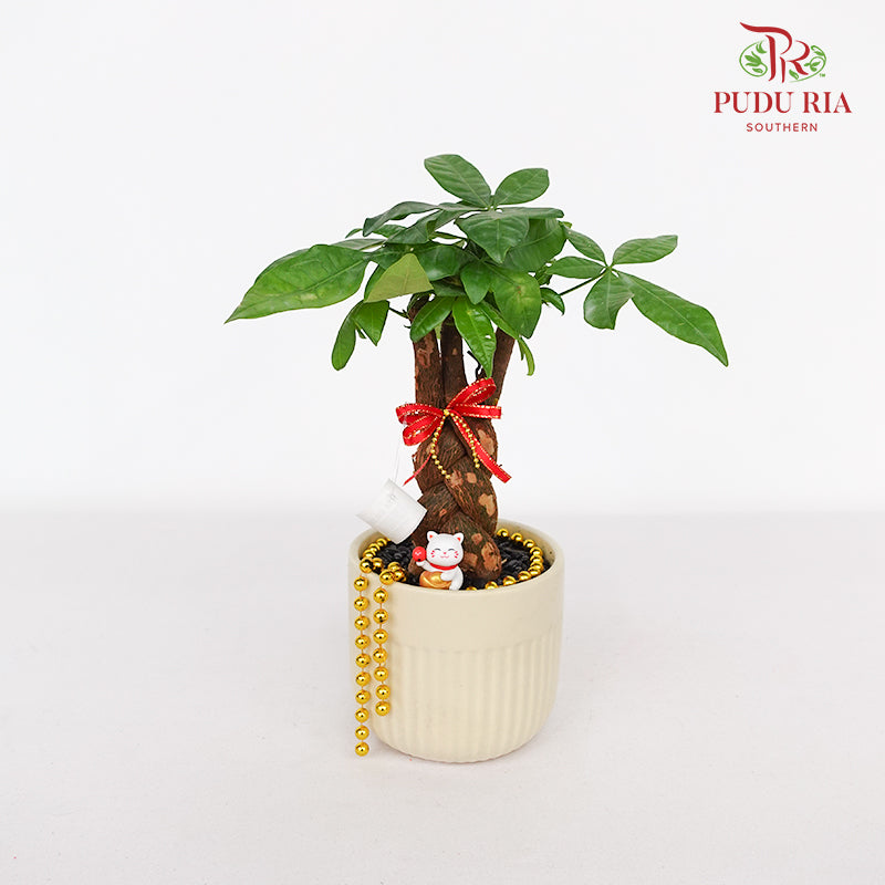 CNY Potted Plant Arrangement 2024#49