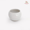 DH-10cm YQ White Pot