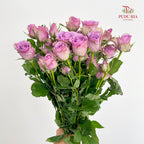 Rose Spray Zixia Fairy - (8-10 Stems)