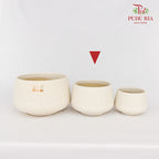 JBC-G23 Cream Pot