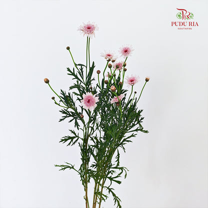 Margaret Flower - (Per Bundle)
