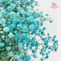 Baby's Breath Blue 满天星 - (8-10 Stems)