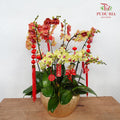 CNY Potted Plant Arrangement 2024#74